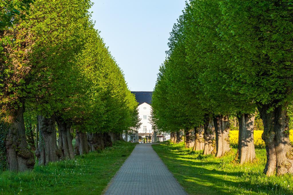 Schlossgut Gross Schwansee Ngoại thất bức ảnh The linden tree avenue